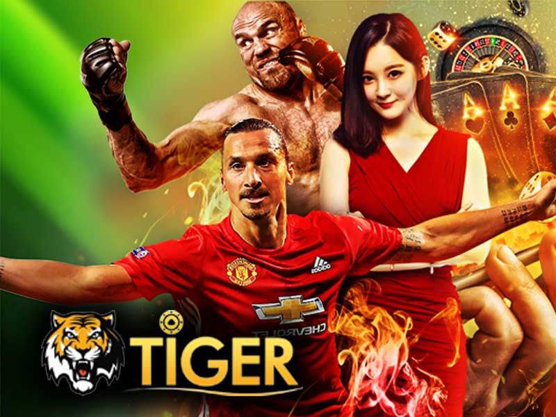 tiger casino